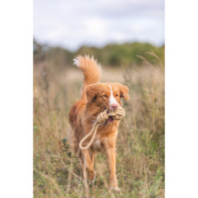 Jouet Balle tressée sur corde Be Nordic en coton/polyester pour chien– Ø7 x 20 cm - marron