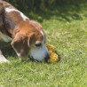 Jouet Haltère avec clochette en caoutchouc naturel pour chien malvoyant – 17 cm - Jaune