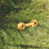 Jouet Haltère avec clochette en caoutchouc naturel pour chien malvoyant – 17 cm - Jaune
