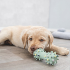 Jouet Mini Haltère pour Chiots en latex – 10 cm - Menthe