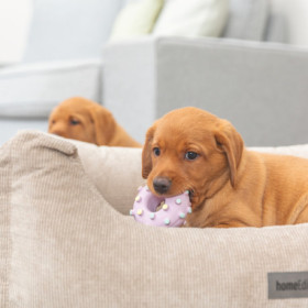 Jouet Mini Anneau pour Chiots en latex – Ø8 cm - Rose