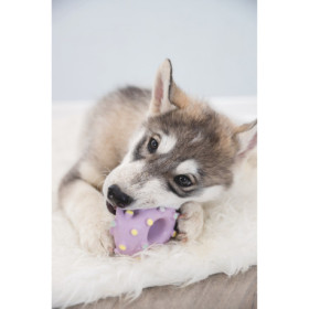 Jouet Mini Anneau pour Chiots en latex – Ø8 cm - Rose