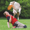 Jouet Frisbee Dog Disc en plastique pour chien – Ø19 cm - Orange