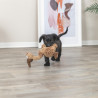 Peluche Vautour Gustav pour chien en polyester avec son – 24 cm