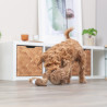 Peluche Vautour Gustav pour chien en polyester avec son – 24 cm