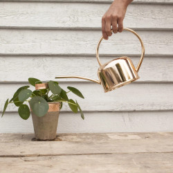 Ruban de cuivre autocollant pour pots de fleurs et jardinières – L. 5 m x H. 3 cm