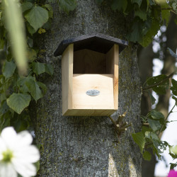 Nichoir de jardin pour Rouge-Gorge en épicéa certifié 100% FSC – 20,6 x 22,4 x 23,3 cm