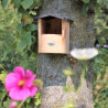 Nichoir de jardin pour Rouge-Gorge en épicéa certifié 100% FSC – 20,6 x 22,4 x 23,3 cm