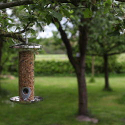 Mangeoire à graines silo pour oiseaux en acier inoxydable – 14,3 x 14,2 x 30,3 cm