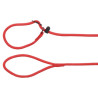 Laisse anti-traction en nylon Aiden – L.1,3 m – Ø8 mm - Rouge