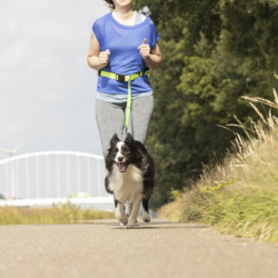 Ceinture de jogging ventrale avec laisse amortisseur réfléchissante en Nylon - Jaune