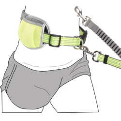 Ceinture de jogging ventrale avec laisse amortisseur réfléchissante en Nylon - Jaune
