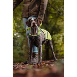 Gilet de sécurité pour chien réfléchissant Wasyl en polyester – Taille M - Encolure 65/83 cm – Jaune Fluo