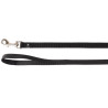 Laisse en nylon Ziggi – L.1.30 m – l.15 mm – Ep. 2mm - Noir