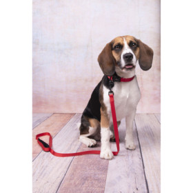 Collier Abbi en nylon avec doublure en néoprène – Taille S – Tour de cou 40-45 cm – l.20 mm - Rouge