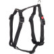 Harnais en H pour chien en nylon Ziggi – Taille S – Tour de cou 35-50 cm - Noir