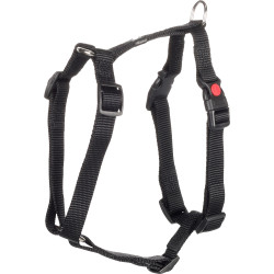 Harnais en H pour chien en nylon Ziggi – Taille M – Tour de cou 45-65 cm – Noir