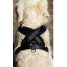 Harnais Cross Palos pour Chien en nylon et doublure polaire – Taille S – Tour de cou 43 cm – Noir