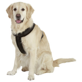 Harnais Cross Palos pour Chien en nylon et doublure polaire – Taille L-XL – Tour de cou 62 cm – Noir