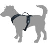 Harnais en Y Toga pour Chien en nylon et rembourrage doux – Taille S – Tour de cou 43 cm - Noir