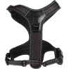 Harnais en Y Toga pour Chien en nylon et rembourrage doux – Taille S – Tour de cou 43 cm - Noir
