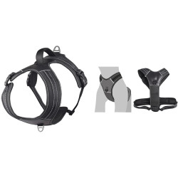 Harnais en Y Toga pour Chien en nylon et rembourrage doux – Taille S – Tour de cou 43 cm - Noir