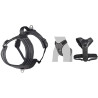 Harnais en Y Toga pour Chien en nylon et rembourrage doux – Taille S – Tour de cou 43 cm - Noir