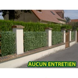 Haie artificielle de jardin en plaque PVC sapin 50 x 50 cm