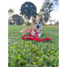 Harnais pour chien Step & Go en nylon Ziggi – Taille L – Tour de cou 40-70 cm – Rouge