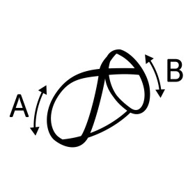 Harnais Cross Abbi pour Chien en nylon et doublure néoprène – Taille S – Tour de cou 43 cm – Rouge