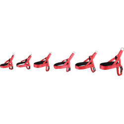 Harnais Noors Abbi pour Chien en nylon avec doublure néoprène – Taille XS – Tour de cou 35-42 cm – Rouge