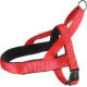 Harnais Noors Abbi pour Chien en nylon avec doublure néoprène – Taille M – Tour de cou 50-65 cm – Rouge