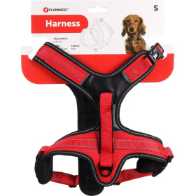 Harnais en Y Toga pour Chien en nylon et rembourrage doux – Taille XS – Tour de cou 39 cm - Rouge