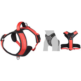 Harnais en Y Toga pour Chien en nylon et rembourrage doux – Taille XS – Tour de cou 39 cm - Rouge