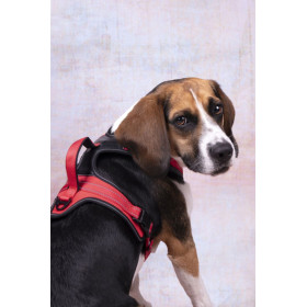 Harnais en Y Toga pour Chien en nylon et rembourrage doux – Taille L – Tour de cou 56 cm - Rouge