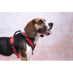 Harnais en Y Toga pour Chien en nylon et rembourrage doux – Taille L – Tour de cou 56 cm - Rouge