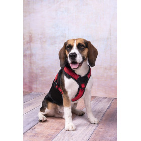 Harnais en Y Toga pour Chien en nylon et rembourrage doux – Taille L – Tour de cou 56 cm - Rouge