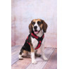 Harnais en Y Toga pour Chien en nylon et rembourrage doux – Taille L – Tour de cou 56 cm - Rouge
