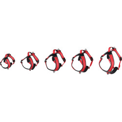 Harnais en Y Toga pour Chien en nylon et rembourrage doux – Taille L – Tour de cou 56 cm - Rouge