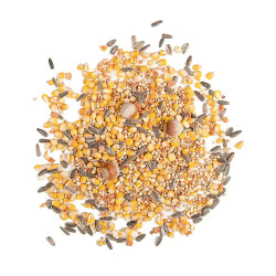 Boite de nourriture pour écureuil 4 saisons – 750 g