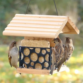 Mangeoire Bar à graisse en pin douglas de fabrication Française – 20,5 x 19,5 x 21 cm