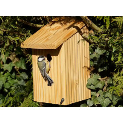 Nichoir pour moineaux, mésanges et sittelles en bois certifié PEFC fabriqué en France – Bicoque