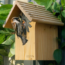 Nichoir couveuse pour mésange avec mésange