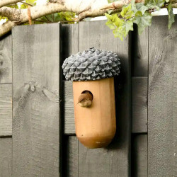 Nichoir oiseaux en forme de gland avec oiseau