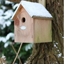 Nichoir de jardin pour mésange bleue