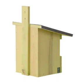 Face arrière Nichoir pour rouge-gorge en bois