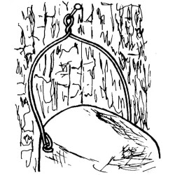 Nichoir de jardin pour Mésanges et Troglodyte mignon SCHWEGLER marron