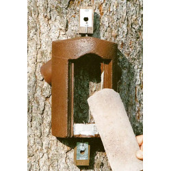 Nichoir Schwegler 2B pour grimpereaux avec façade amovible - 26 x 22 x 15 cm