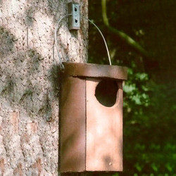 Nichoir pour chouettes hulotte SCHWEGLER modèle 5– trou d’envol de 11 x 12 cm