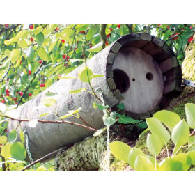 Nichoir pour chevêtres d’Athéna